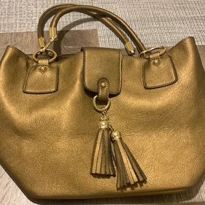 Bronze Tote / Purse